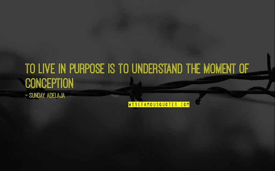 Akulah Quotes By Sunday Adelaja: To live in purpose is to understand the