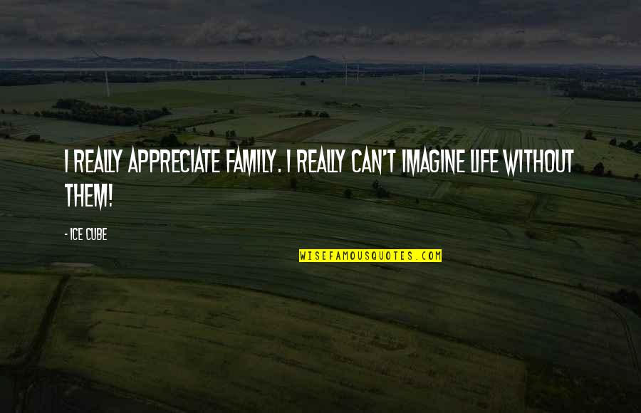 Akutt Psykose Quotes By Ice Cube: I really appreciate family. I really can't imagine