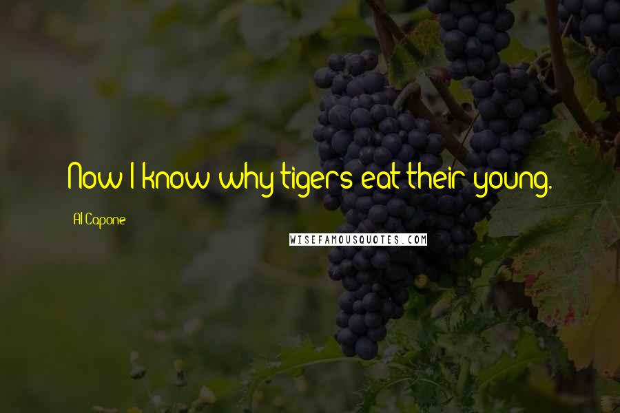 Al Capone quotes: Now I know why tigers eat their young.