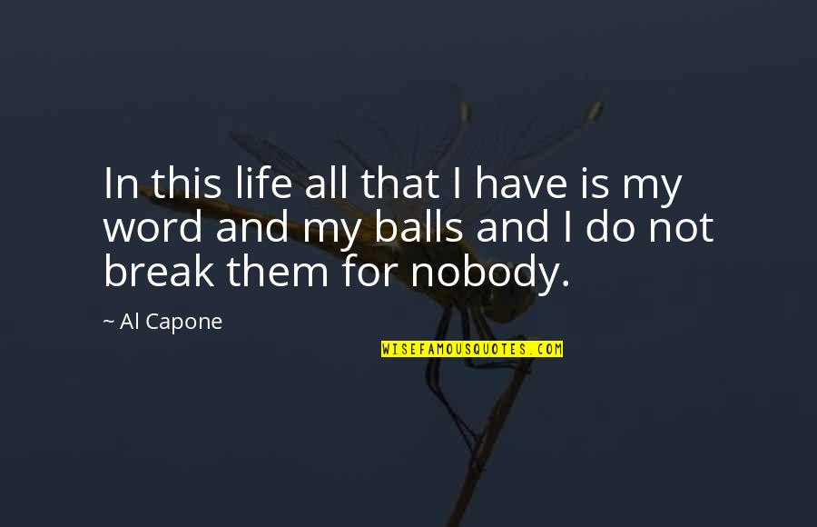 Al Capone Quotes By Al Capone: In this life all that I have is