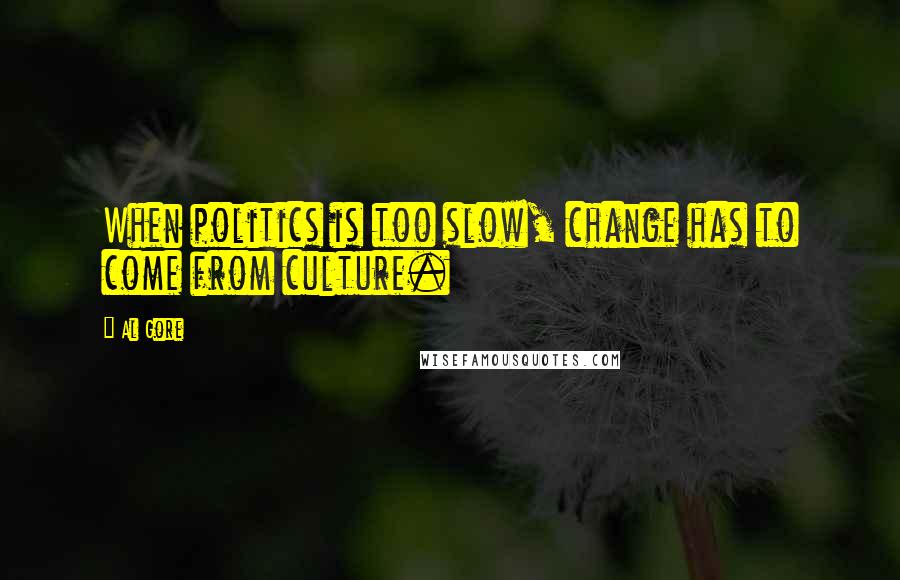 Al Gore quotes: When politics is too slow, change has to come from culture.