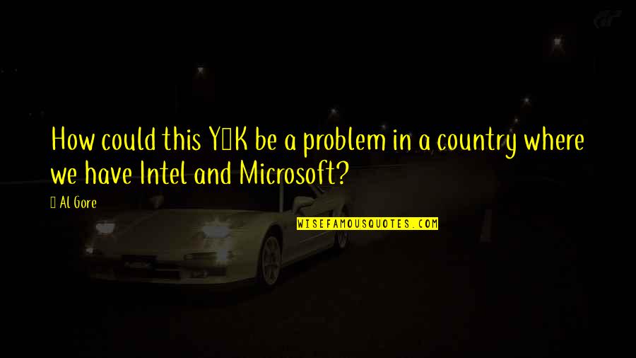 Al Gore Quotes By Al Gore: How could this Y2K be a problem in