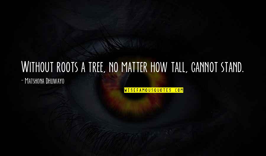 Al Kaabi Soil Quotes By Matshona Dhliwayo: Without roots a tree, no matter how tall,