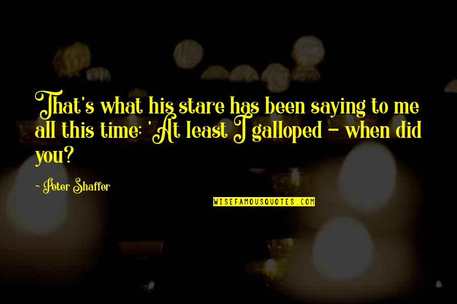 Al Mutawakel Quotes By Peter Shaffer: That's what his stare has been saying to Al Mutawakel Quotes By Peter Shaffer: That's what his stare has been saying to