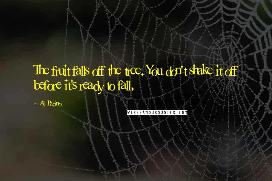 Al Pacino quotes: The fruit falls off the tree. You don't shake it off before it's ready to fall.