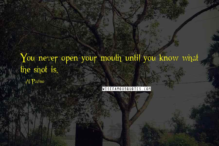 Al Pacino quotes: You never open your mouth until you know what the shot is.