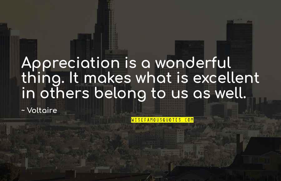 Al Qassam Quotes By Voltaire: Appreciation is a wonderful thing. It makes what
