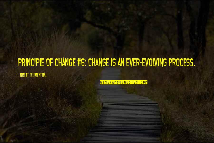 Aladone Quotes By Brett Blumenthal: Principle of Change #6: Change is an ever-evolving