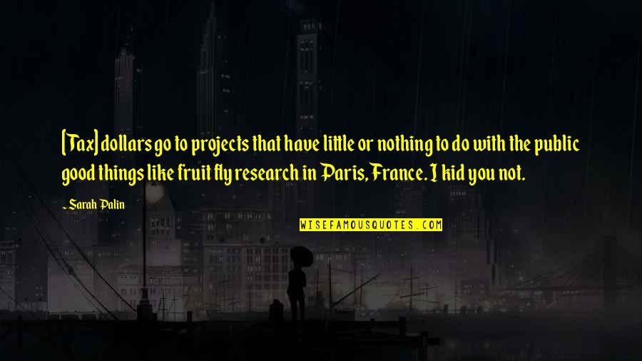 Alagic Ambasador Quotes By Sarah Palin: [Tax] dollars go to projects that have little
