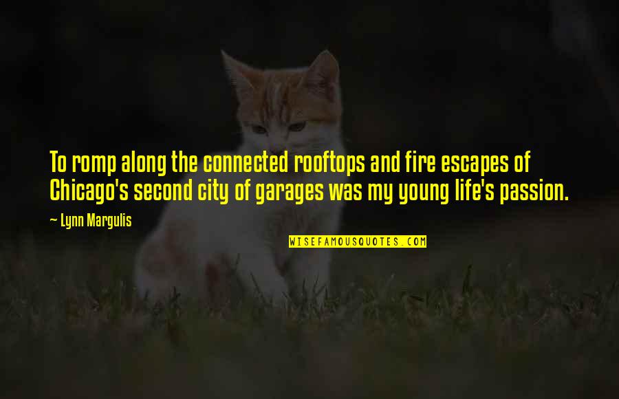 Alagic Reaction Quotes By Lynn Margulis: To romp along the connected rooftops and fire