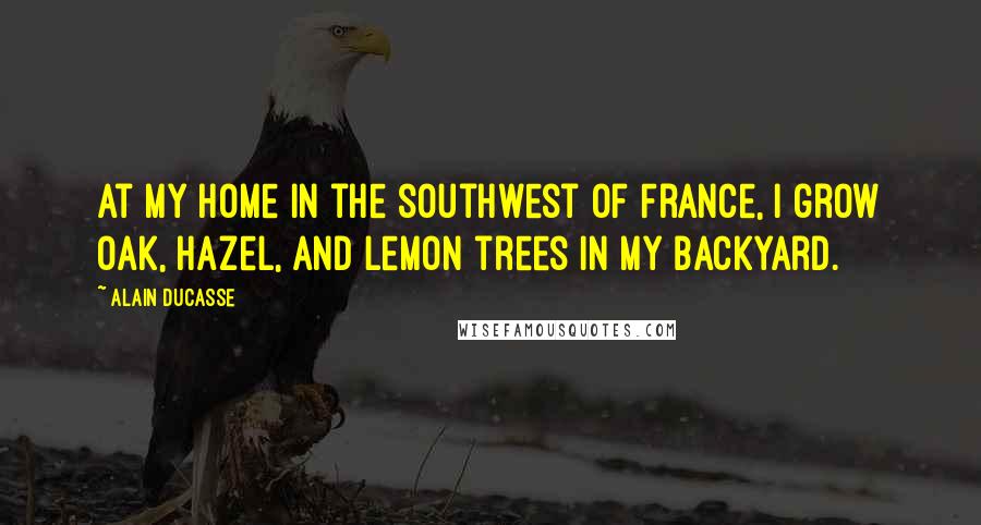Alain Ducasse quotes: At my home in the southwest of France, I grow oak, hazel, and lemon trees in my backyard.