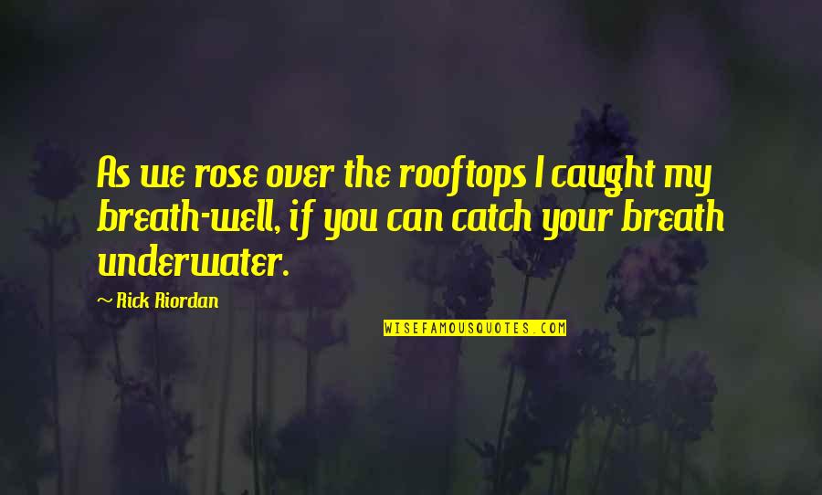Alamaze Order Quotes By Rick Riordan: As we rose over the rooftops I caught