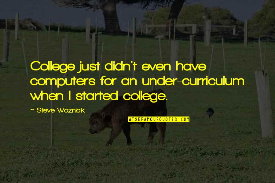 Alamgiri Quotes By Steve Wozniak: College just didn't even have computers for an