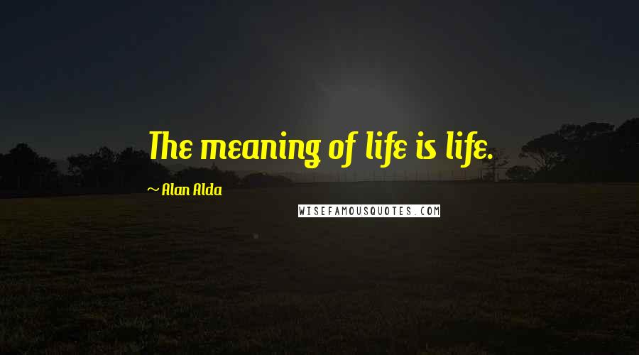 Alan Alda quotes: The meaning of life is life.
