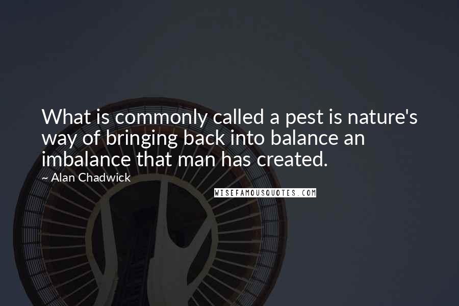 Alan Chadwick quotes: What is commonly called a pest is nature's way of bringing back into balance an imbalance that man has created.