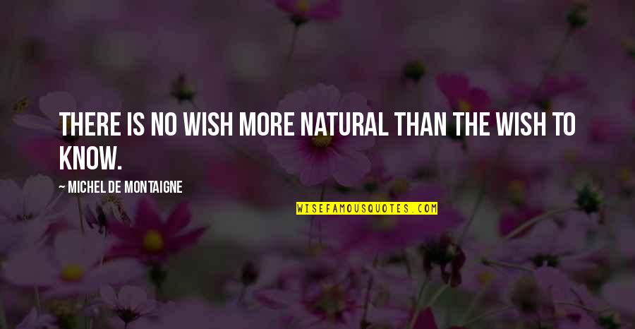 Alan Cohen Love Quotes By Michel De Montaigne: There is no wish more natural than the