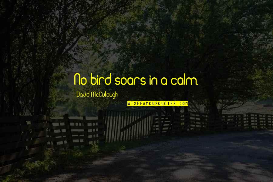 Alan Colmes Quotes By David McCullough: No bird soars in a calm.