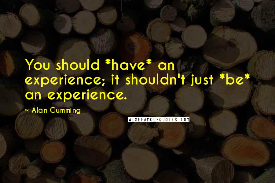 Alan Cumming quotes: You should *have* an experience; it shouldn't just *be* an experience.
