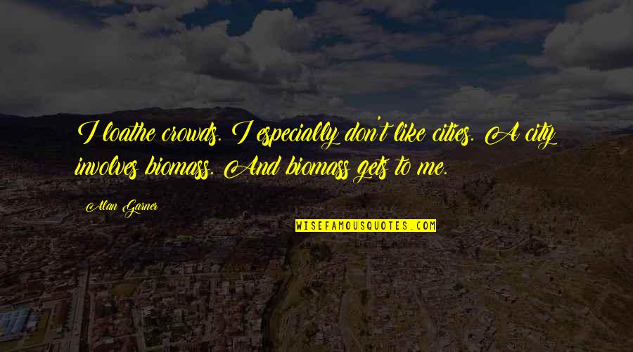 Alan Garner Quotes By Alan Garner: I loathe crowds. I especially don't like cities.