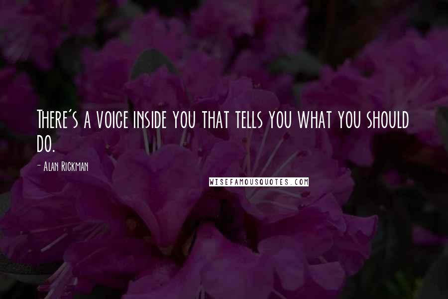 Alan Rickman quotes: There's a voice inside you that tells you what you should do.