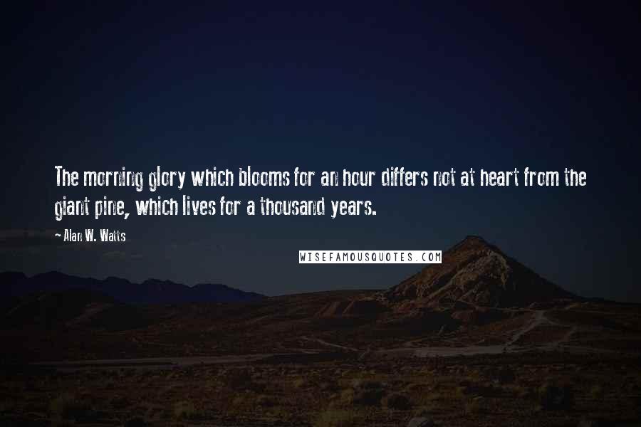 Alan W. Watts quotes: The morning glory which blooms for an hour differs not at heart from the giant pine, which lives for a thousand years. Alan W. Watts quotes: The morning glory which blooms for an hour differs not at heart from the giant pine, which lives for a thousand years.