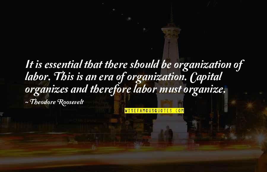 Alan Wolfelt Quotes By Theodore Roosevelt: It is essential that there should be organization