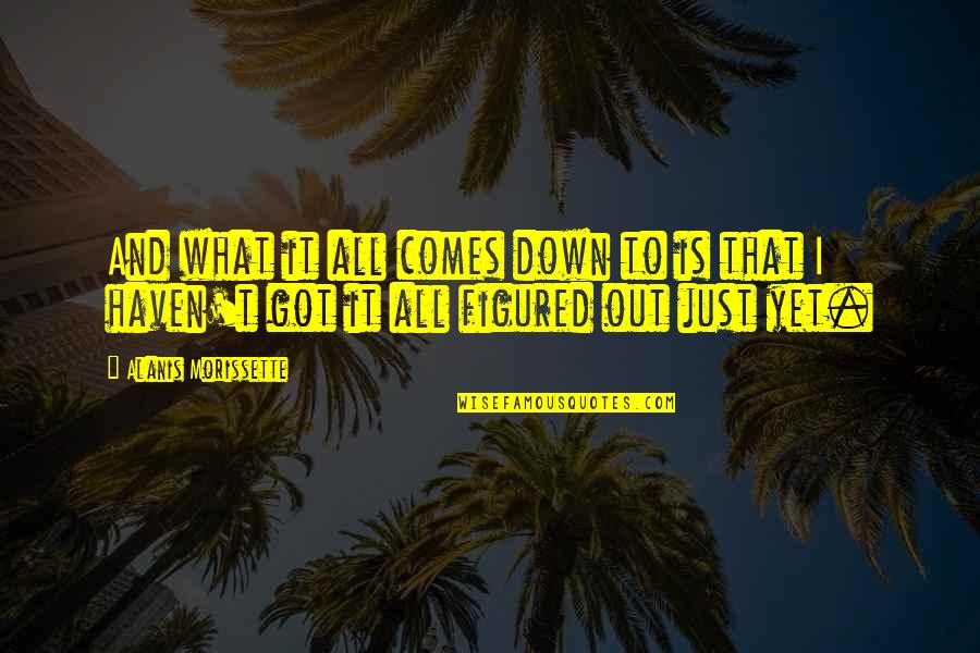 Alanis Morissette Quotes By Alanis Morissette: And what it all comes down to is