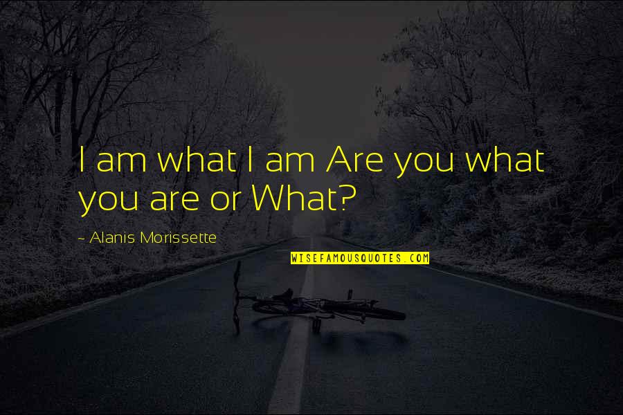 Alanis Morissette Quotes By Alanis Morissette: I am what I am Are you what