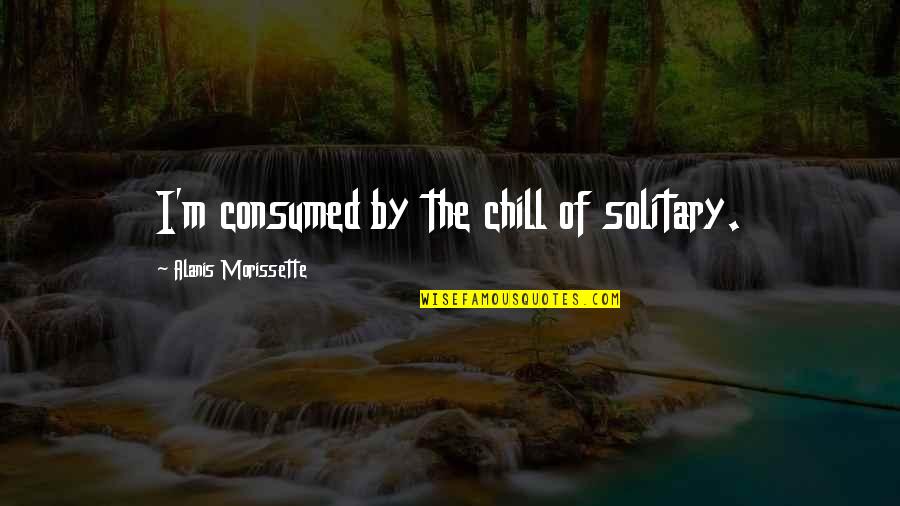 Alanis Quotes By Alanis Morissette: I'm consumed by the chill of solitary.
