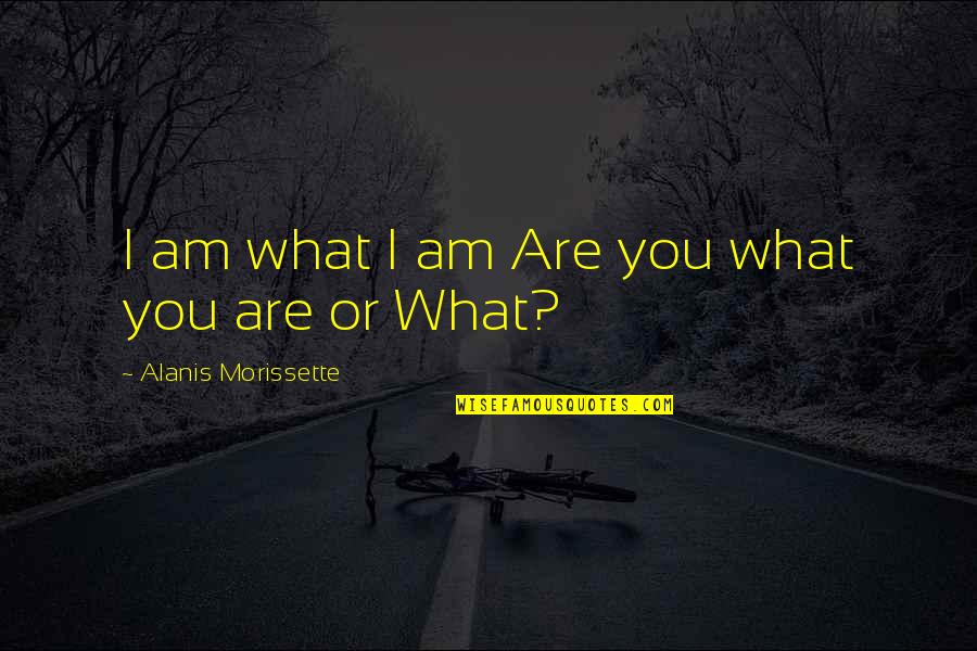 Alanis Quotes By Alanis Morissette: I am what I am Are you what