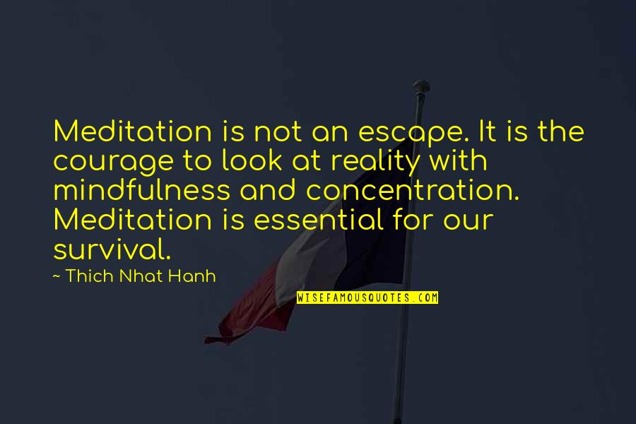 Alargan Gardens Quotes By Thich Nhat Hanh: Meditation is not an escape. It is the