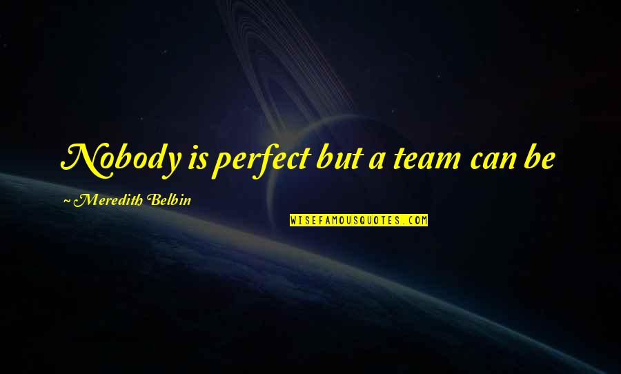 Alarios Marine Quotes By Meredith Belbin: Nobody is perfect but a team can be