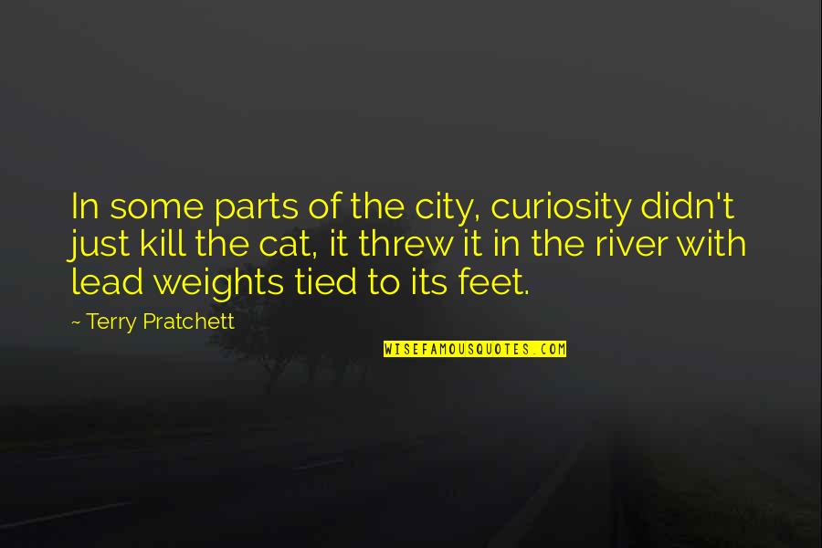 Alariwo Of Africa Quotes By Terry Pratchett: In some parts of the city, curiosity didn't Alariwo Of Africa Quotes By Terry Pratchett: In some parts of the city, curiosity didn't