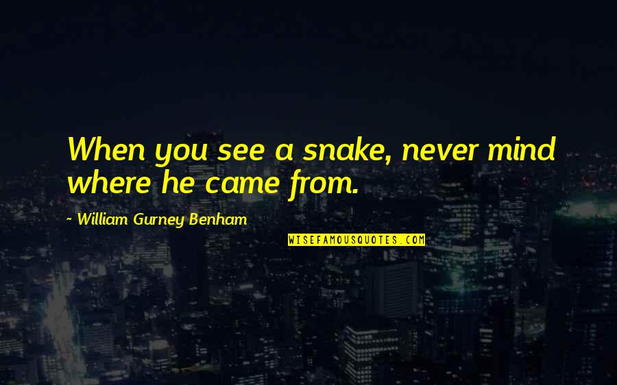 Alarmist Synonym Quotes By William Gurney Benham: When you see a snake, never mind where Alarmist Synonym Quotes By William Gurney Benham: When you see a snake, never mind where