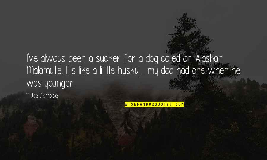 Alaskan Malamute Quotes By Joe Dempsie: I've always been a sucker for a dog