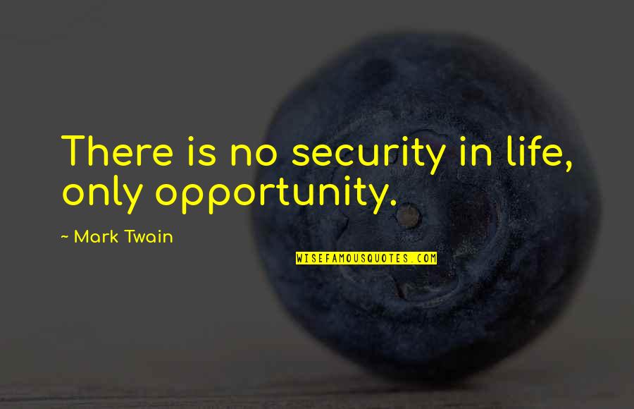 Alastair Pennycook Quotes By Mark Twain: There is no security in life, only opportunity.