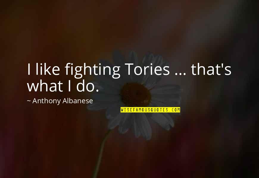 Albanese Quotes By Anthony Albanese: I like fighting Tories ... that's what I