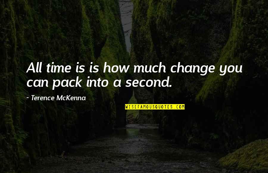Albarelli And Stirba Quotes By Terence McKenna: All time is is how much change you