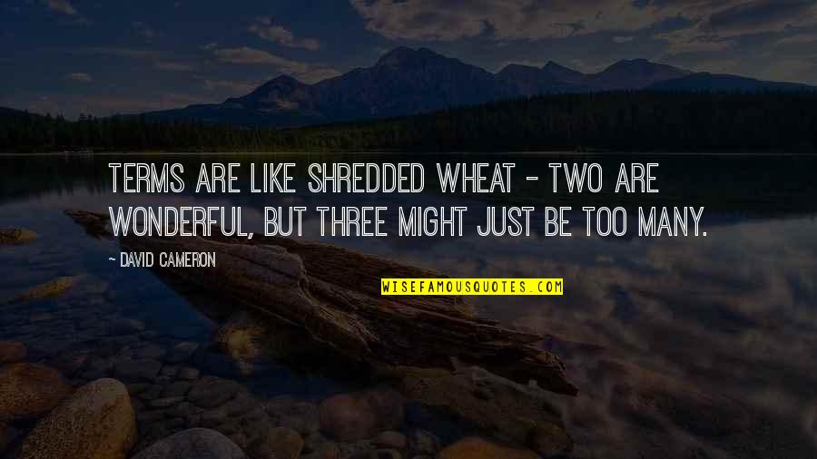 Albari O Do Ferreiro Quotes By David Cameron: Terms are like shredded wheat - two are Albari O Do Ferreiro Quotes By David Cameron: Terms are like shredded wheat - two are