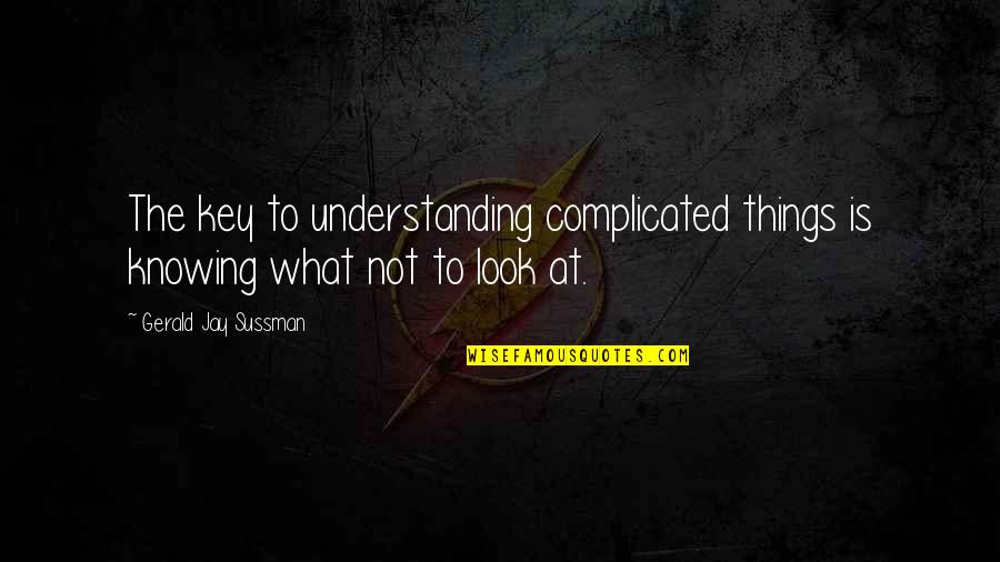 Albarracin To Madrid Quotes By Gerald Jay Sussman: The key to understanding complicated things is knowing Albarracin To Madrid Quotes By Gerald Jay Sussman: The key to understanding complicated things is knowing