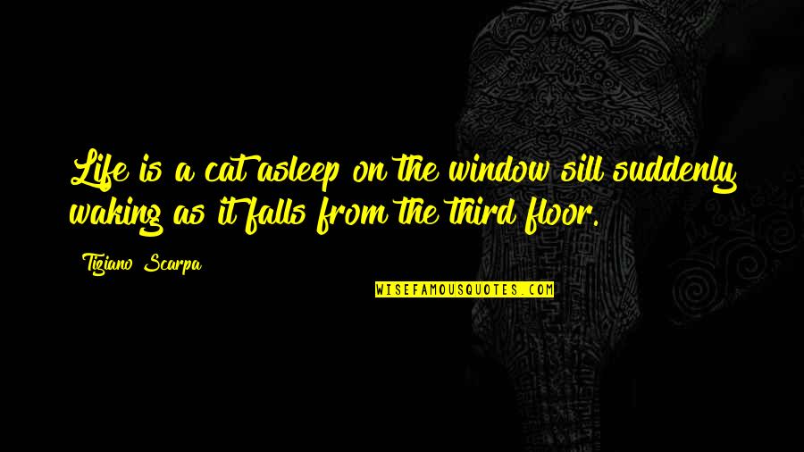 Albay Quotes By Tiziano Scarpa: Life is a cat asleep on the window