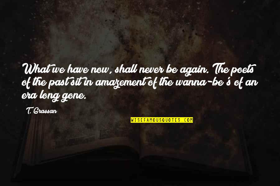 Albensis Quotes By T. Grassan: What we have now, shall never be again.