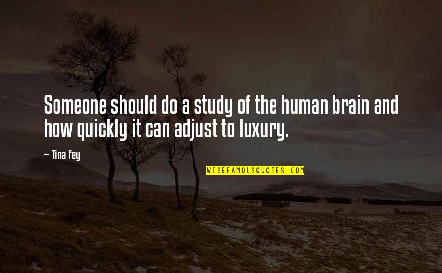 Albert Bigelow Paine Quotes By Tina Fey: Someone should do a study of the human