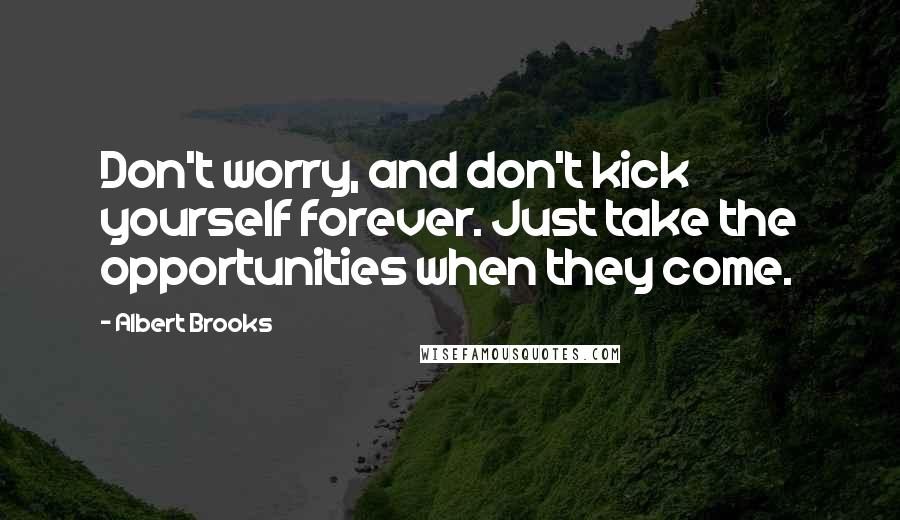 Albert Brooks quotes: Don't worry, and don't kick yourself forever. Just take the opportunities when they come.