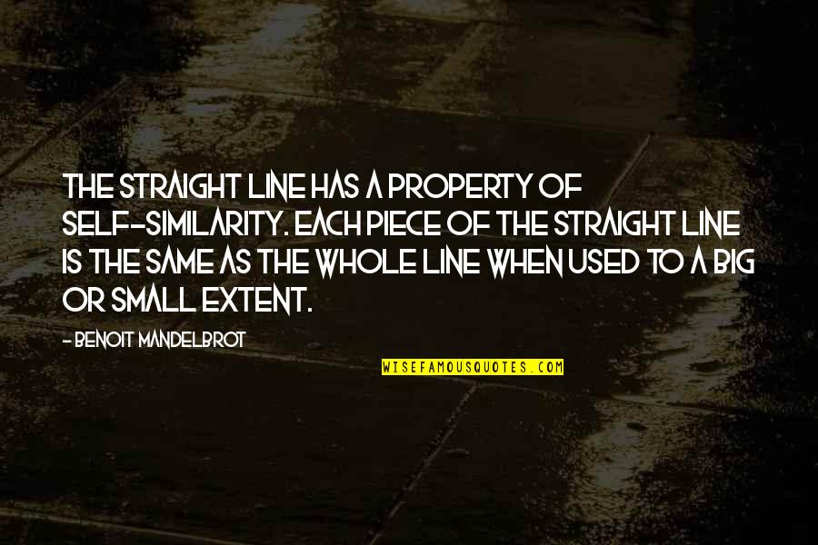 Albert Calmette Quotes By Benoit Mandelbrot: The straight line has a property of self-similarity.