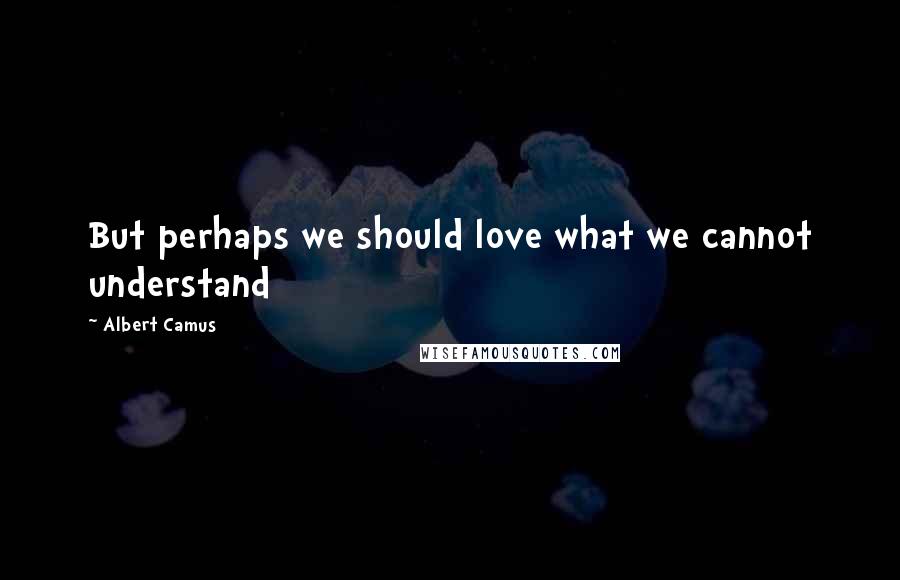 Albert Camus quotes: But perhaps we should love what we cannot understand