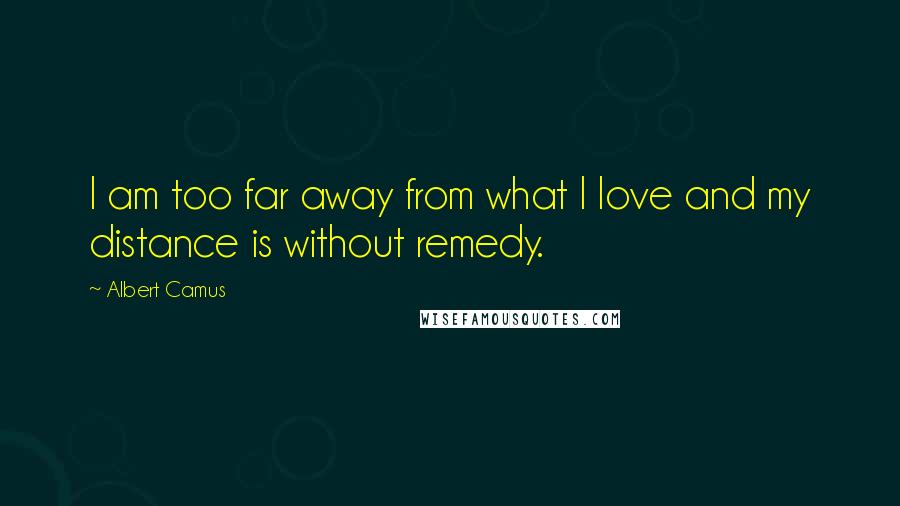 Albert Camus quotes: I am too far away from what I love and my distance is without remedy.