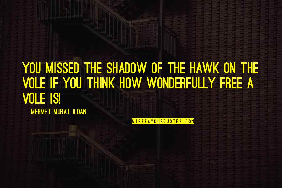 Albert Einstein Electronics Quotes By Mehmet Murat Ildan: You missed the shadow of the hawk on
