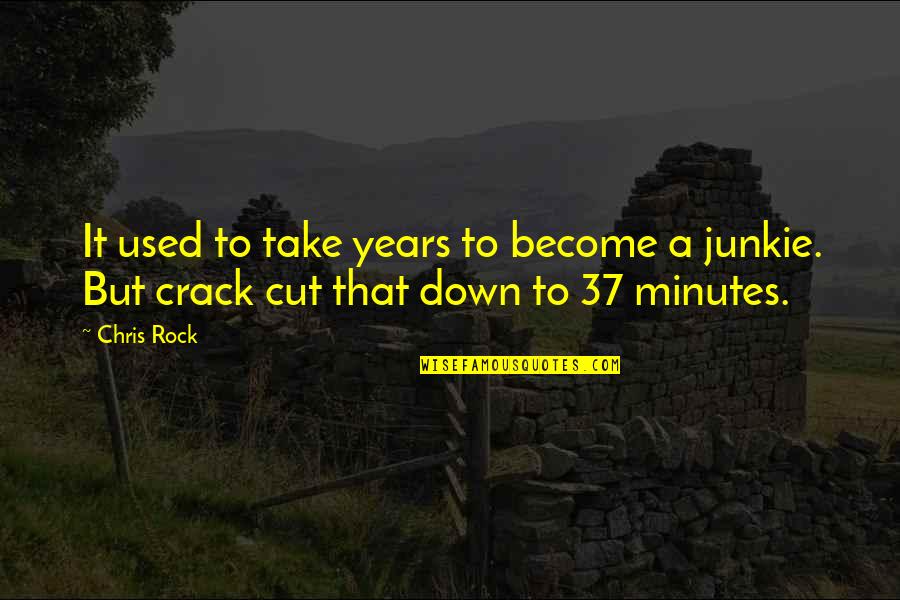 Albert Einstein Positive Life Quotes By Chris Rock: It used to take years to become a