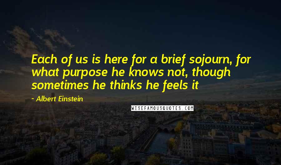 Albert Einstein quotes: Each of us is here for a brief sojourn, for what purpose he knows not, though sometimes he thinks he feels it